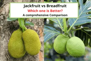 breadfruit jackfruit